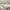Abstract Canvas Set of 3 - Rome