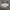 Abstract Canvas - Manhattan Mist