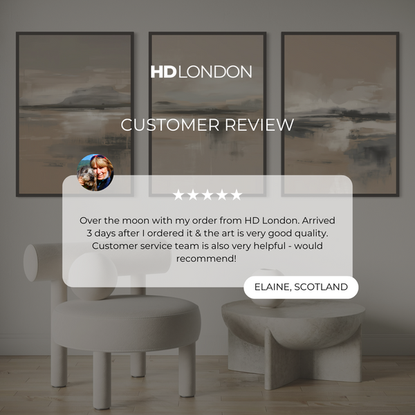 Set of 3 Framed Canvas - Geneva