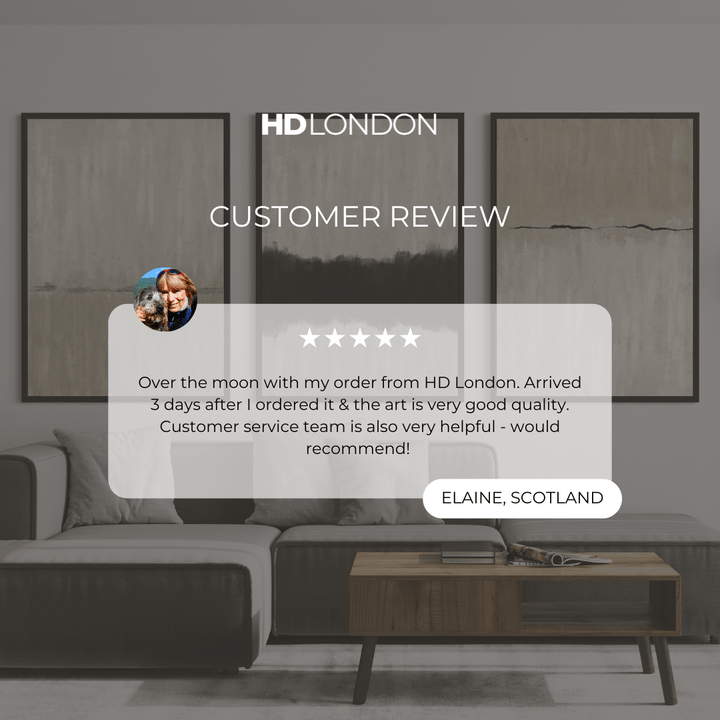 Set of 3 Framed Canvas - Neutral Line