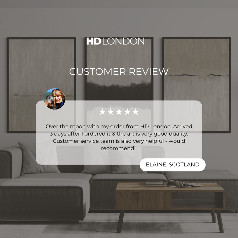 Set of 3 Framed Canvas - Neutral Line