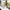Abstract Canvas Set of 3 - Portofino