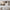 Abstract Canvas Set of 2 - Brown Essence