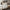 Abstract Canvas Set of 2 - Obscura