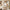 Set of 1 - Abstract Art 'Sahara'