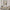 Set of 1 - Abstract Art  'Rome'