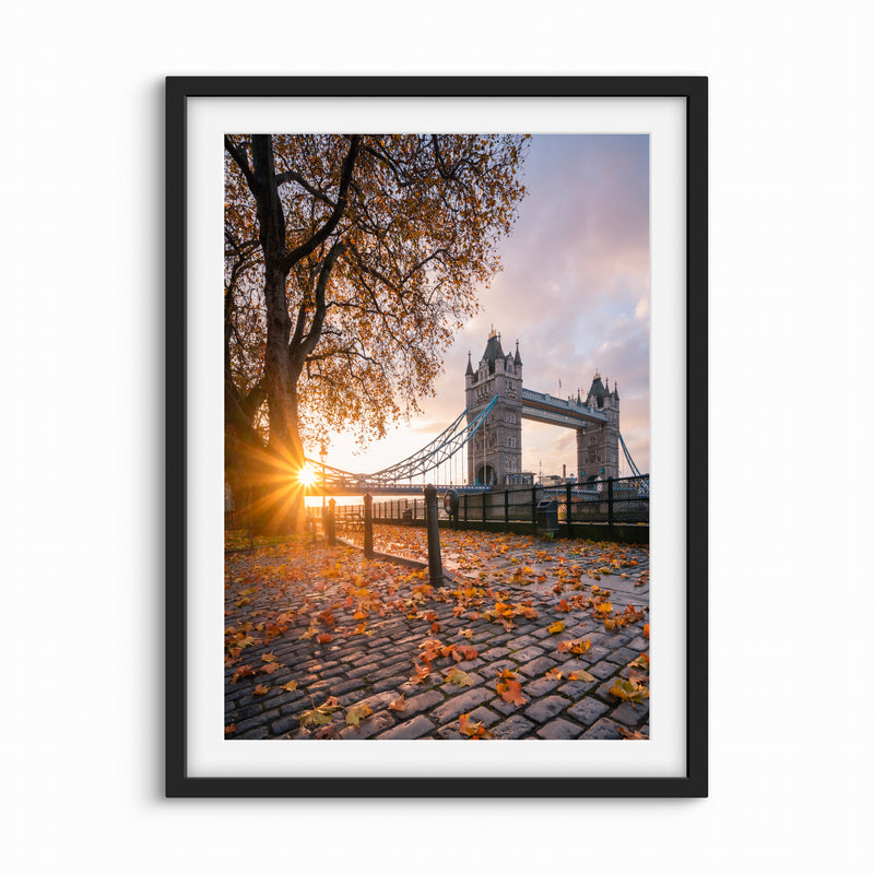 Set of 1 -  Autumn's Bridge