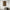 Modern Abstract  Canvas Art Print in Brown Velvet - Gallery Wall Print