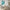 Abstract Art Framed Canvas in Teal - Modern Interior Design Art