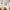 Modern Abstract Art Boho Lines - Minimalist Interior Design Art
