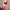 Abstract Modern Art in Heart Design - Interior Design Art