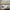Modern Abstract Art Sage Forest - Minimalist Interior Design